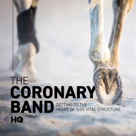 Coronary Band Issues