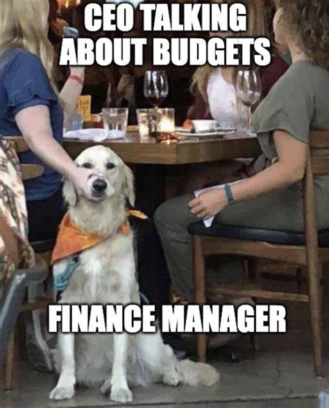 Corporatefinance Books Need a Section on ‘Memes’ Live Trading News