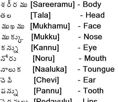 corps meaning in telugu