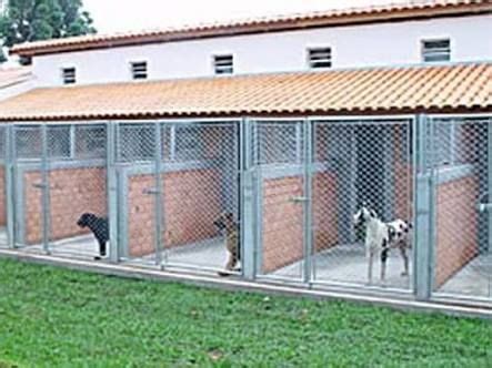 Corrales Dog Boarding