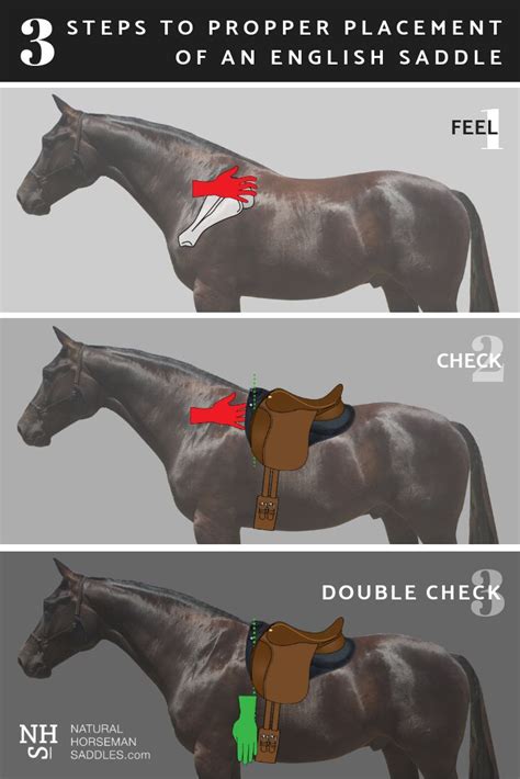 correct saddle position horse