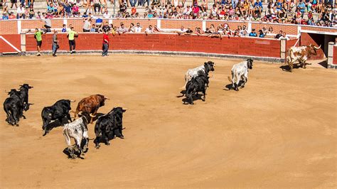 corrida de toros madrid 2023