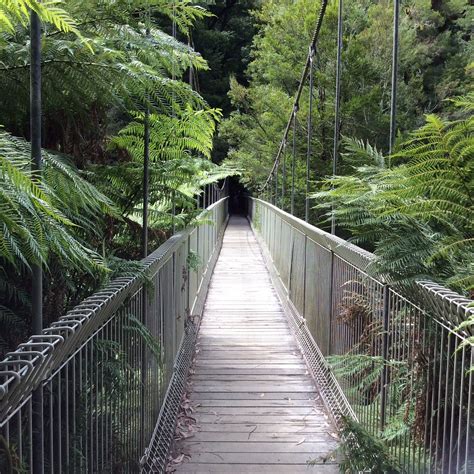 corrigan suspension bridge walk
