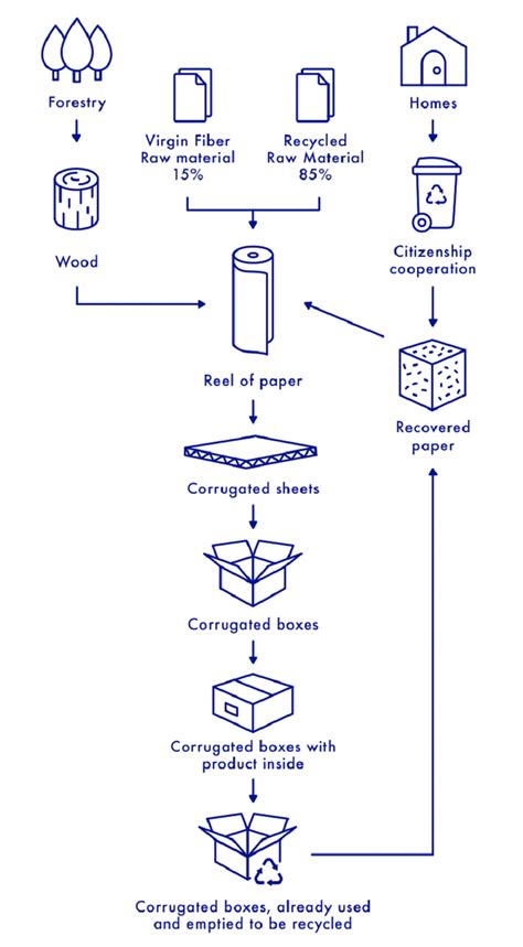 Corrugated Cardboard Process