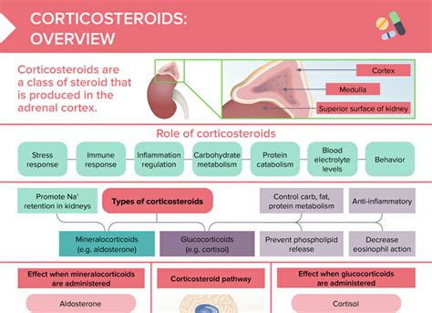 Corticosteroids Review