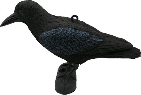 Corvo Finto Da Balcone