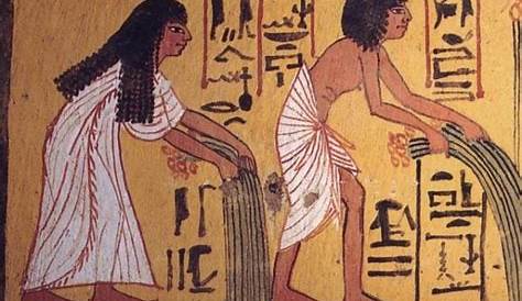 Il gatto nell'antico Egitto e le sue origini | Quattro Zampe
