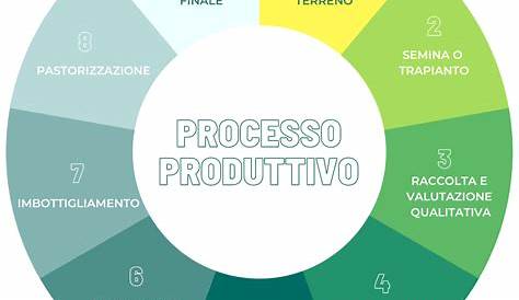 UDA 01 - Processo, progetto e gestione - 1.1 - Il processo produttivo