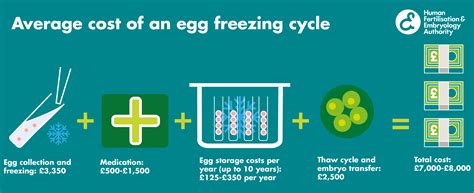 Cost For Frozen Eggs