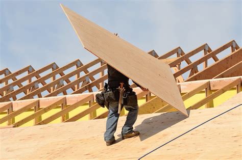 cost for roof plywood