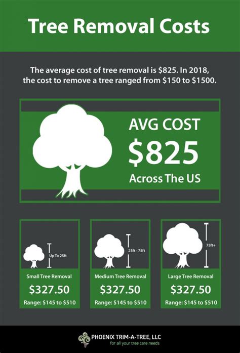 Cost For Small Tree Removal