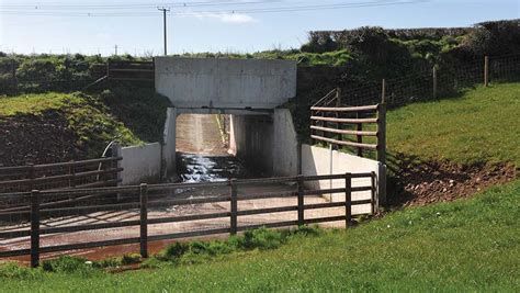Cost Of Cattle Underpass