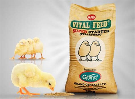 cost of chicken feed in nigeria