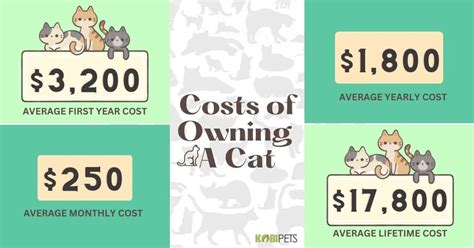 Cost Of Keeping Cat