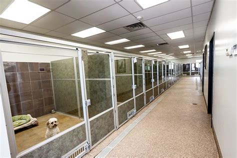 cost of kennels near me per day