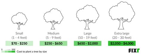 Cost Of Large Oak Tree