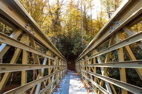 cost of pedestrian bridge