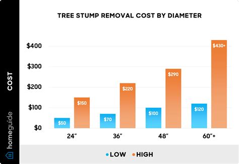 Cost Of Tree Trunk Removal