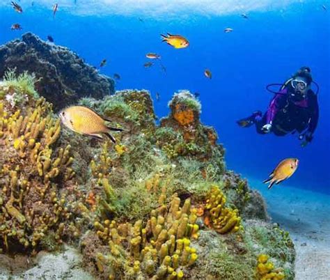 cost scuba diving Lanzarote