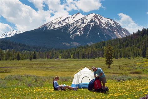 cost to camp in yellowstone