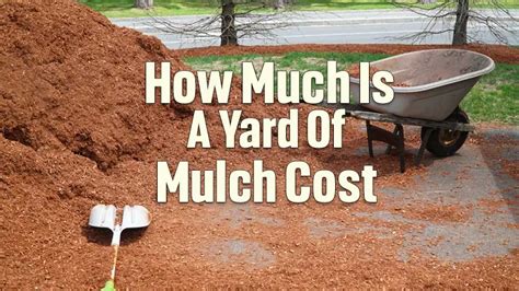 Cost To Mulch Trees