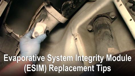 Cost To Replace Emission System Integrity Monitor