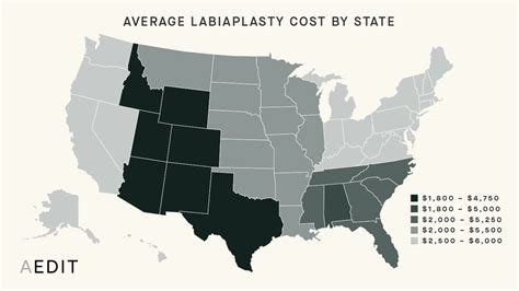 cost-labiaplasty