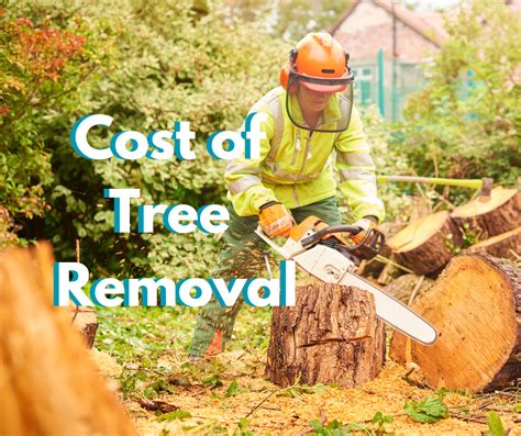 Tree Removal cost Calculator How Get Good Estimate