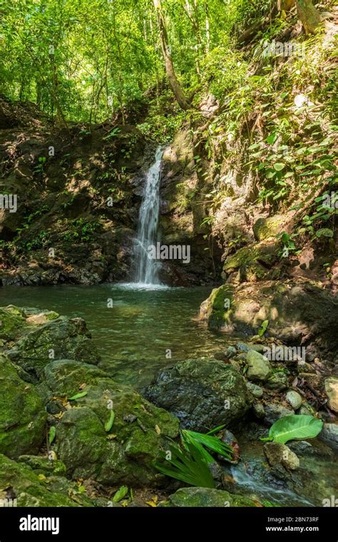 costa rica honduras stream