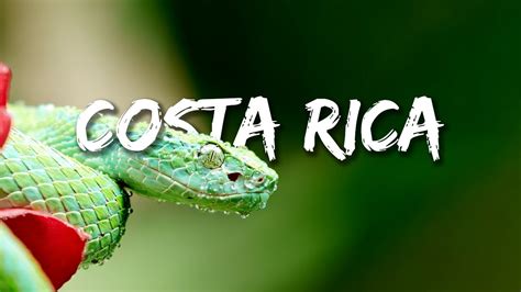 costa rica in 4k 60fps hdr download