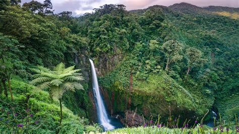 costa rica rainforest vacation spots