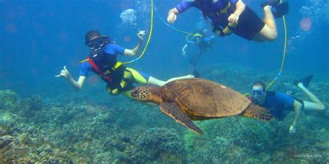 costa rica snorkeling spots