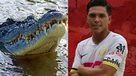 costa rican footballer crocodile