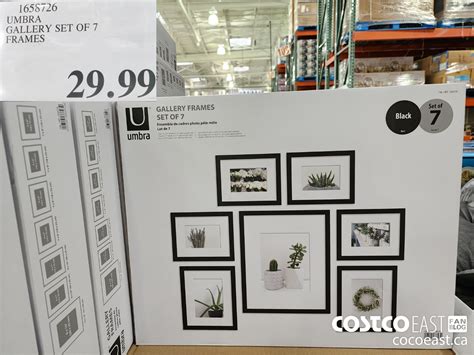 Costco photo frame