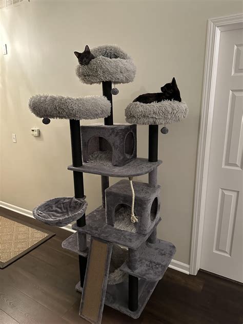 Costco Cat Tree Reddit
