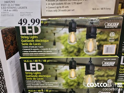 Costco Mini String Lights