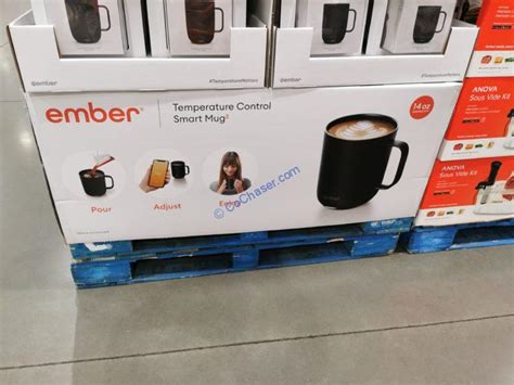 Costco Temperature Control Mug