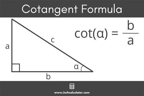 Cot Translation