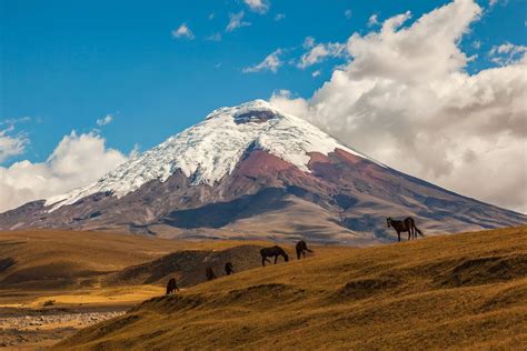 Quito to Cotopaxi & Baños: Is This All-Inclusive Trip Worth It?