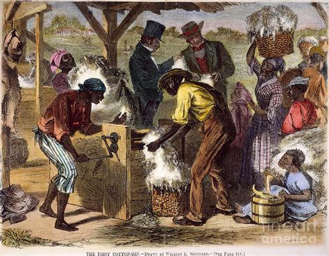 Cotton Gin Impact On Slavery