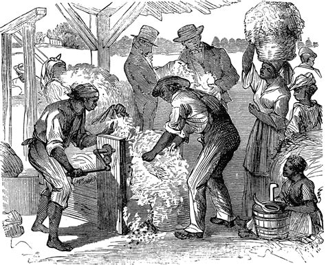 Cotton Gin Inventor Slave