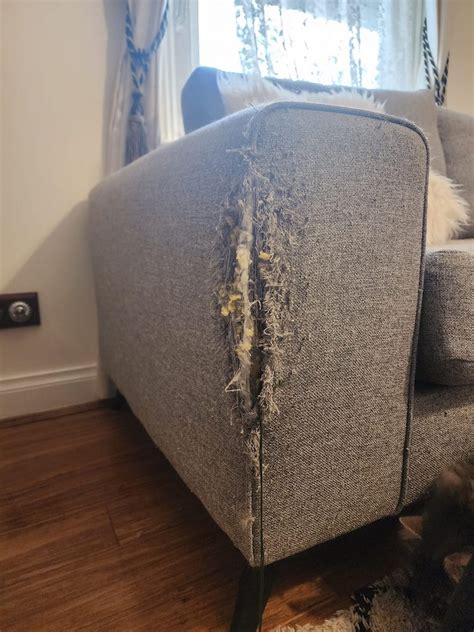 Famous Couch Repair Diy With Low Budget