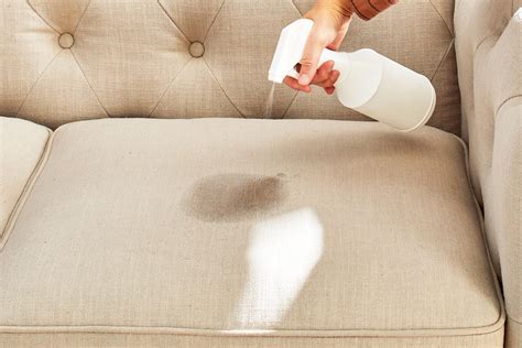couch cleaning stains