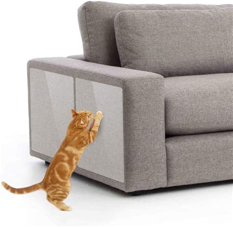 Famous Couches That Cats Won t Scratch For Small Space