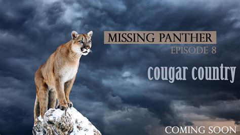cougar cuntry
