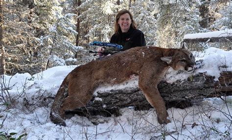 cougar hunter