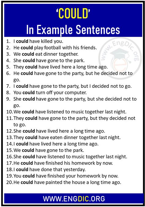 could use in sentence examples