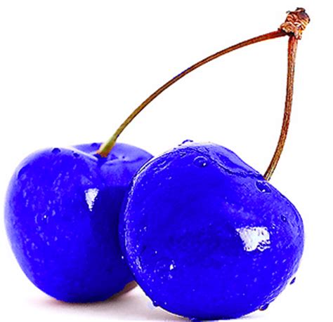 Cerise bleue... Image & Photo de fredique de Concours Le bleu