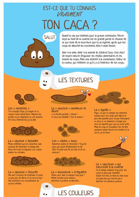 Connaistu vraiment ton caca ? Infographie • Les cRAWquantes