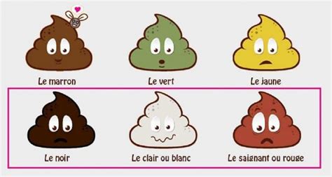 WSSCC on Twitter "We love this poop infographic by WASHUnited! What
